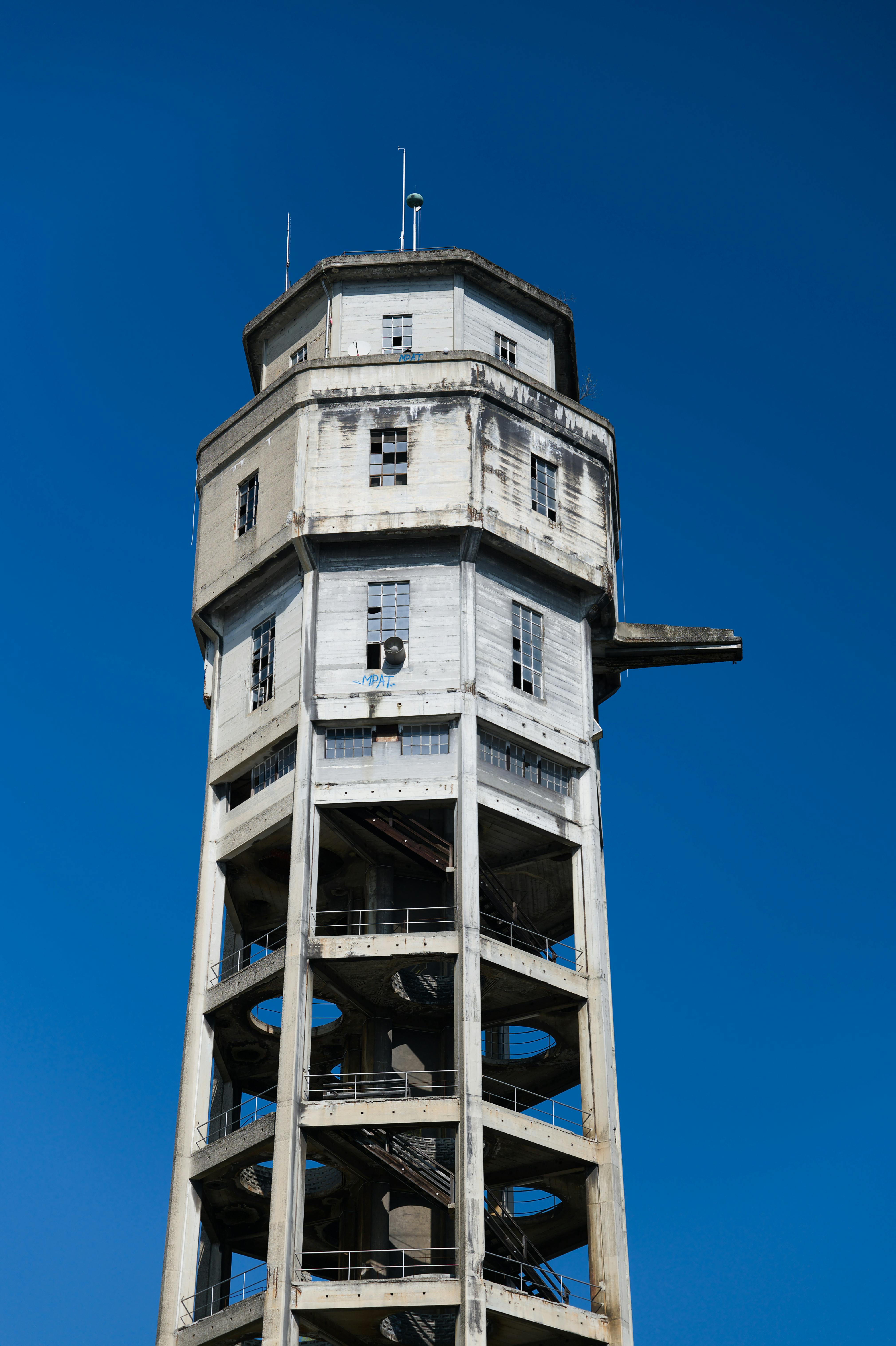 豚内臓類・その他